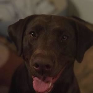 Meet your Posher, Tiffaney